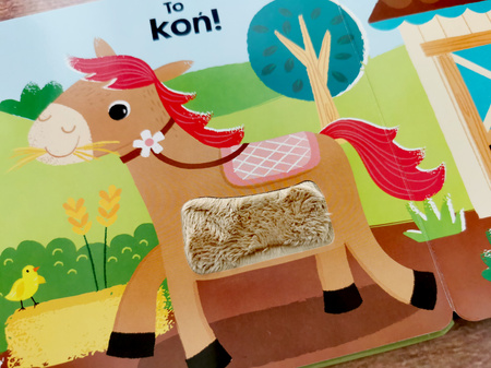 Zwierzęta na wsi. Akademia Mądrego Dziecka. Dotykam, zgaduję