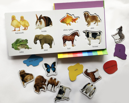 Zwierzęta. Akademia mądrego dziecka. Kolorowy świat malucha