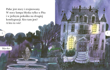 Pan Pit i jego kwiatek. Czytam sobie. Poziom 2