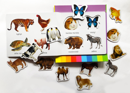 Zwierzęta. Akademia mądrego dziecka. Kolorowy świat malucha