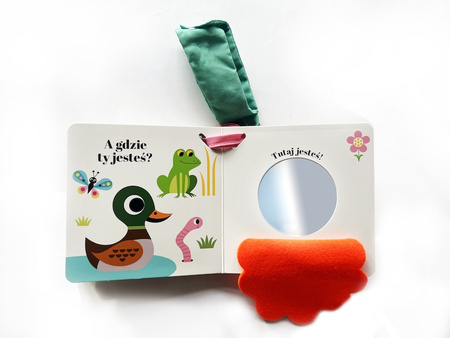 Gdzie się schowała kaczuszka? Akademia mądrego dziecka. Zabawa w chowanego