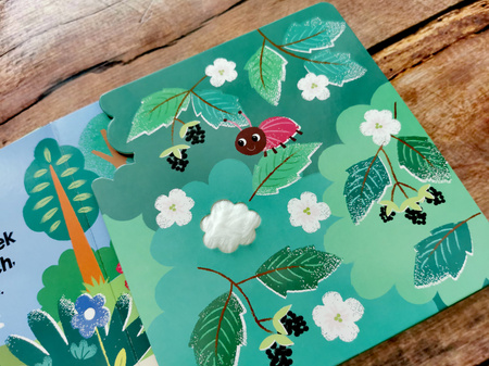 Zwierzęta w lesie. Akademia Mądrego Dziecka. Dotykam, zgaduję