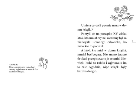 Tajemnica Nawojki. Czytam sobie. Poziom 3