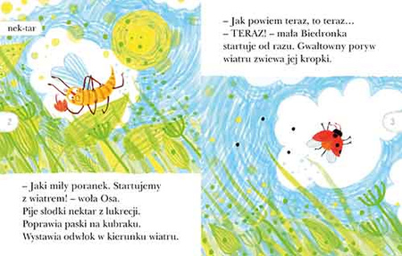 Letni koncert. Czytam sobie. Poziom 2