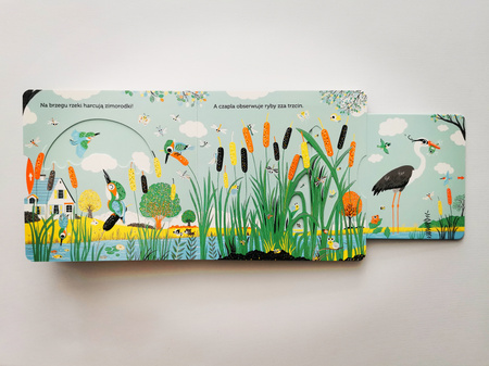 Rzeka. Akademia Mądrego Dziecka. Niesamowity spacer