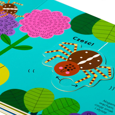 Pająk. Akademia mądrego dziecka. Pokochaj naturę