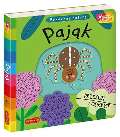 Pająk. Akademia mądrego dziecka. Pokochaj naturę