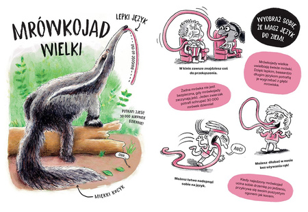 Zwierzaki cwaniaki. Akademia Mądrego Dziecka. Chcę wiedzieć