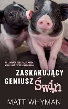 Zaskakujący geniusz świń